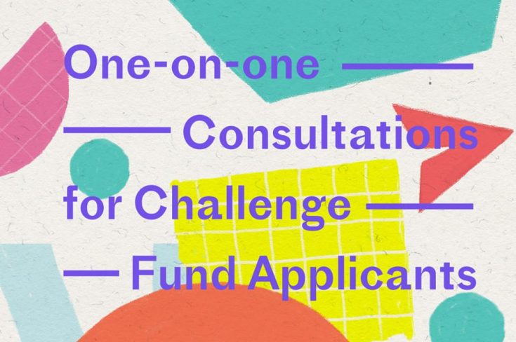 One-on-one Consultations For Challenge Fund Applicants